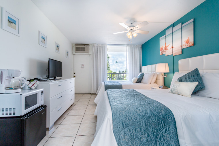 Stanard efficiecy 2 beds 2 DBL Hotel